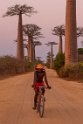108 Baobab Avenue
